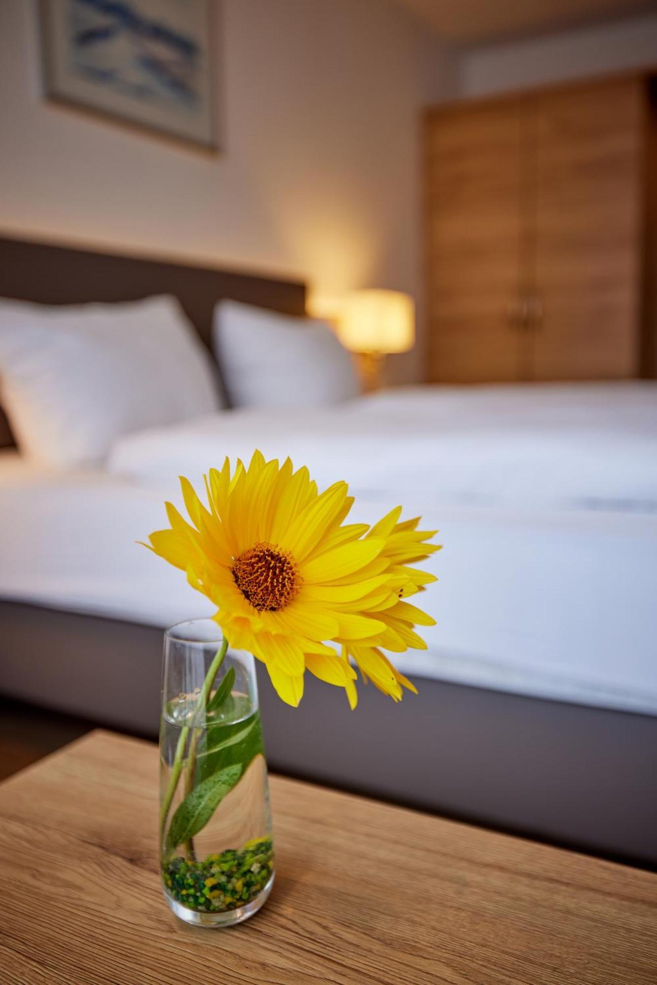 Hotel Restaurant Stegemann Saerbeck المظهر الخارجي الصورة